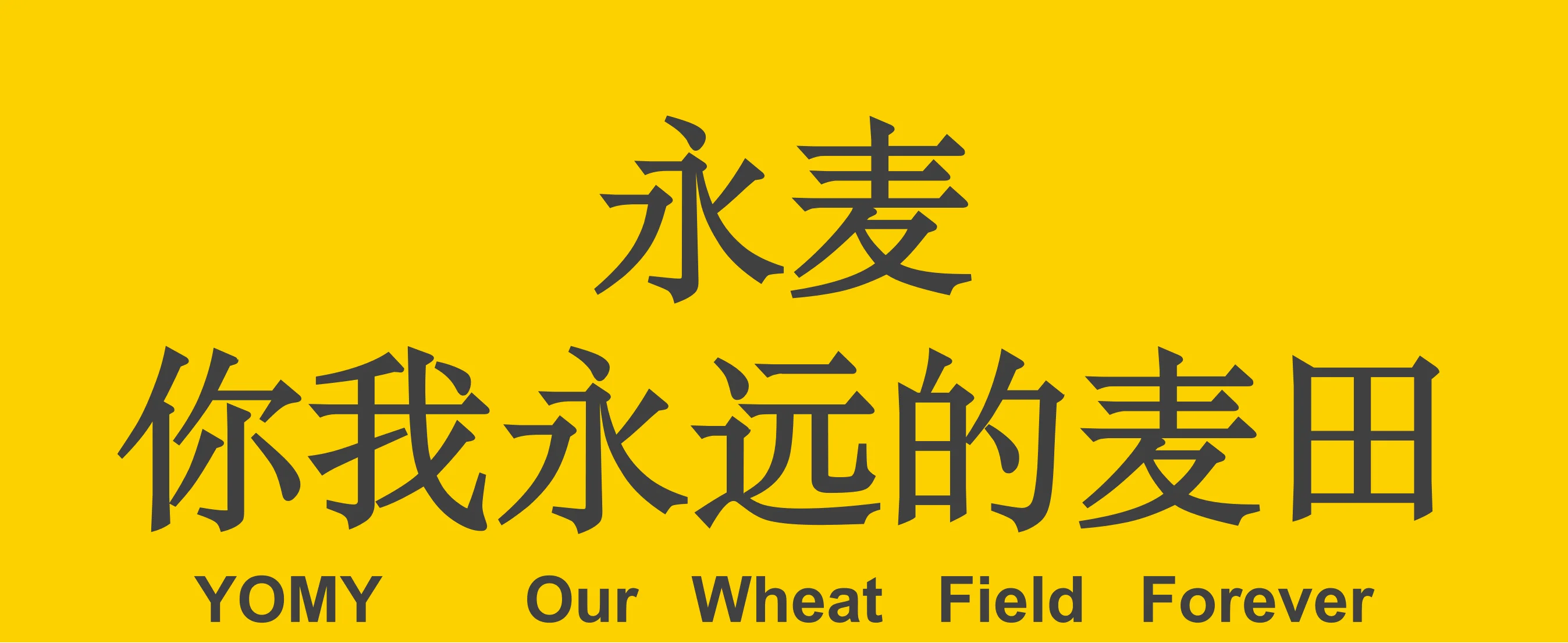 永麦，你我永远的麦田
