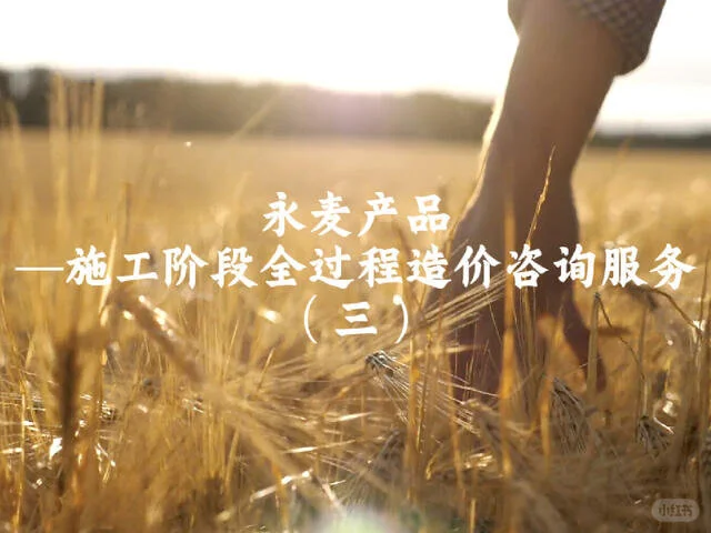 施工阶段全过程造价咨询服务（三）