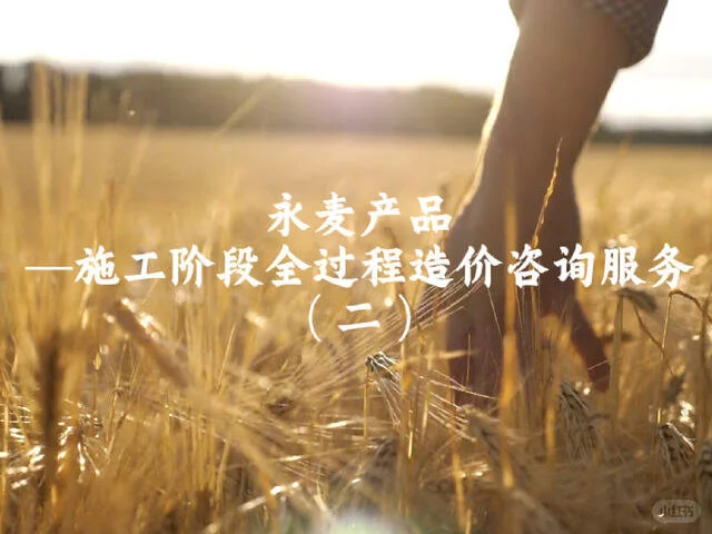 施工阶段全过程造价咨询服务（二）