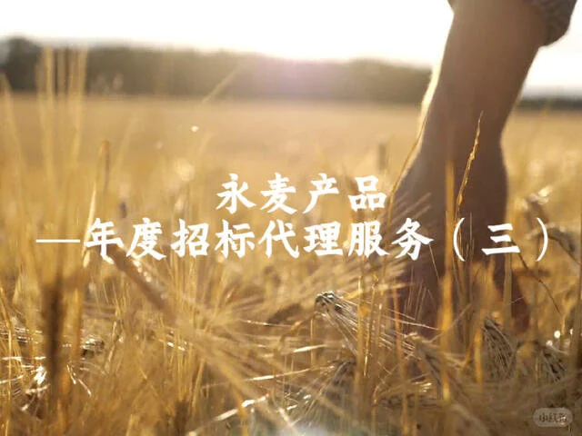 年度招标代理服务（三）