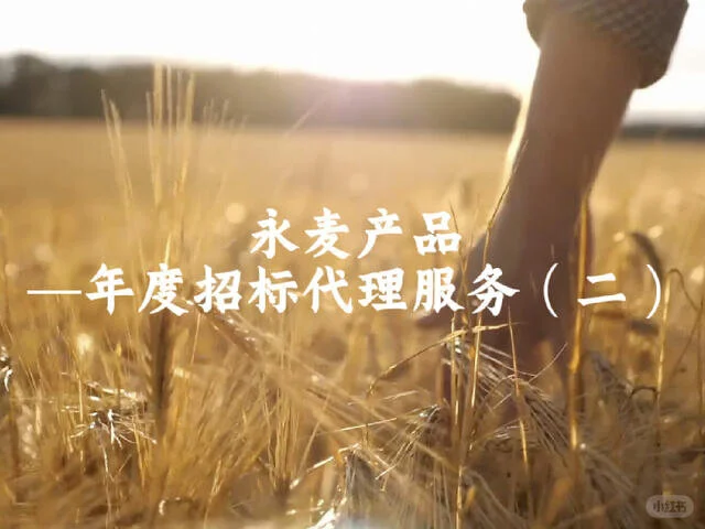 年度招标代理服务（二）