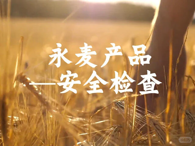 安全检查