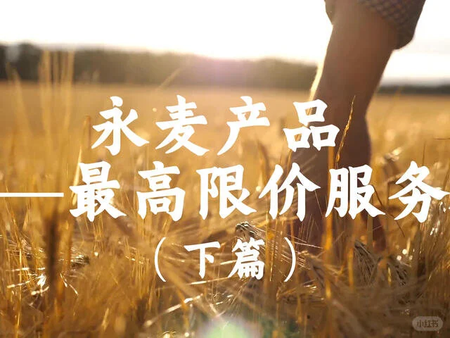 最高限价服务（下篇）