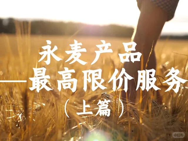 最高限价服务（上篇）